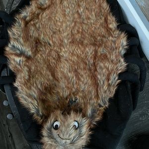 L/XL Spider Dog Costume